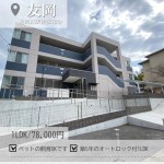 newインスタ雛形