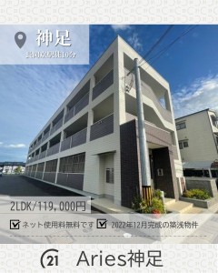 newインスタ雛形
