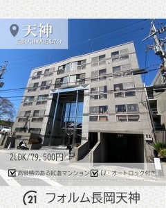 newインスタ雛形