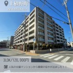 newインスタ雛形
