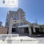 newインスタ雛形