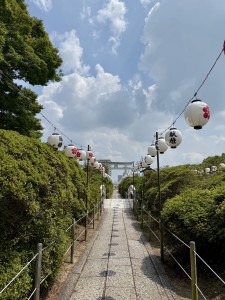 S__80232457
