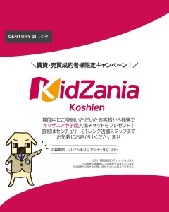 newインスタ雛形