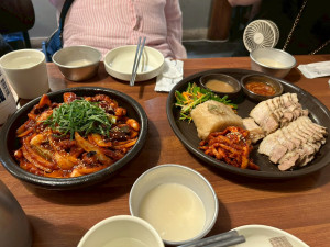 LINE_ALBUM_元祖ゲロ浦辻少数カメラ🇰🇷_260618_3